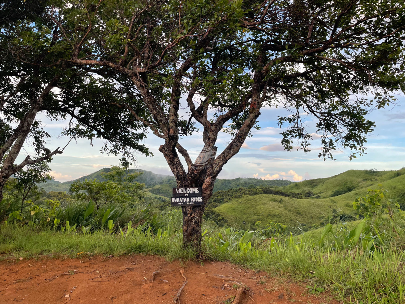 Hiking Mt Batolusong For Less Than Php 600 