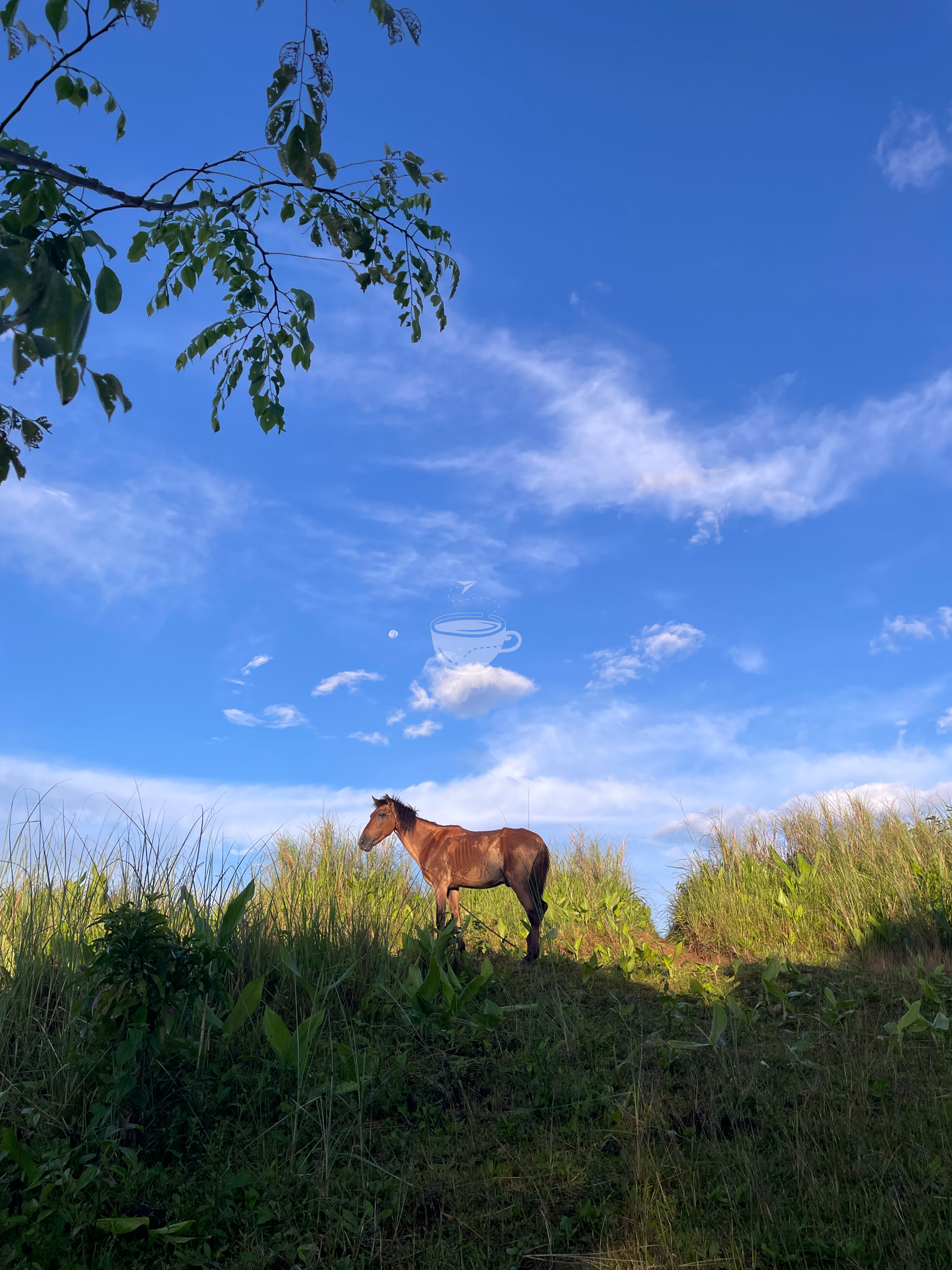 Hiking Mt Batolusong For Less Than Php 600 | DIY Travel Guide ...