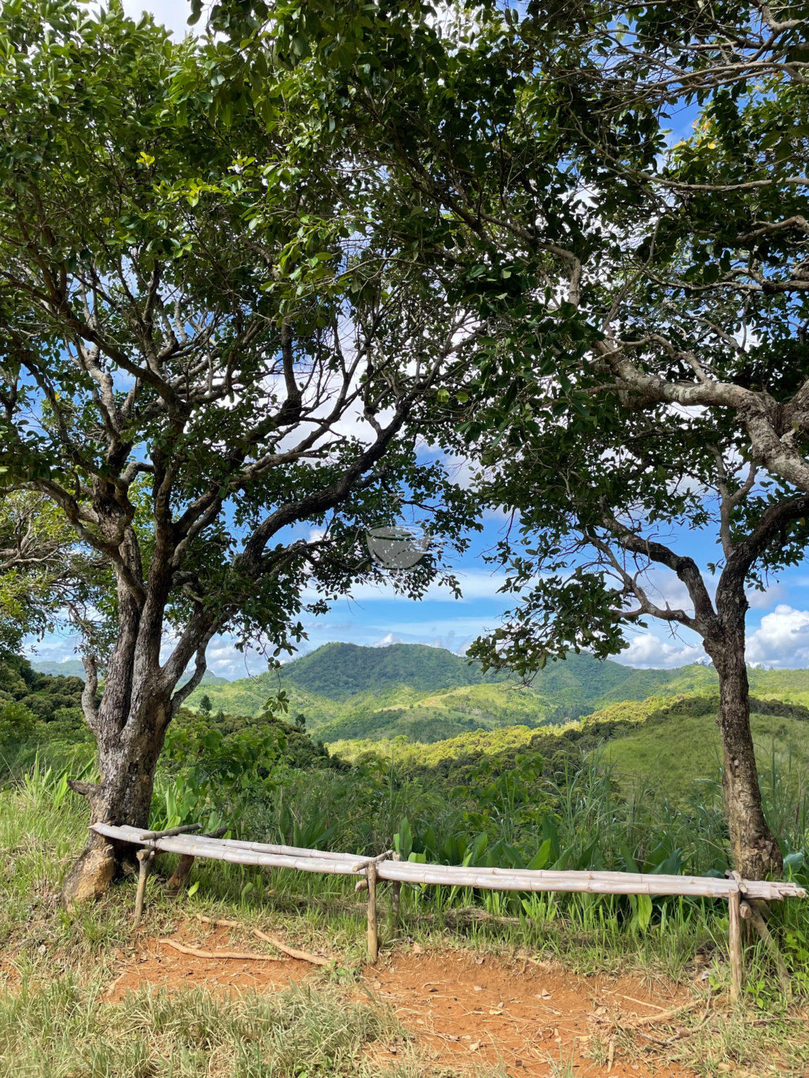 Hiking Mt Batolusong For Less Than Php 600 